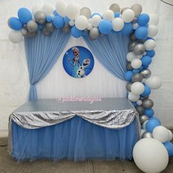 Frozen Birthday