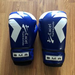 BMA Carbonium Boxing Glove