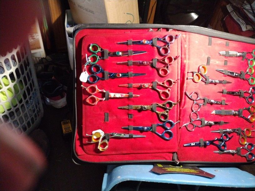 Professional Hair Cutting Scissors