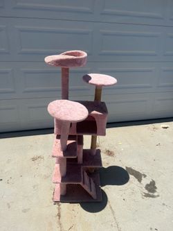 Cat house