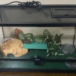 Front Opening Ten Gallon Reptile Tank