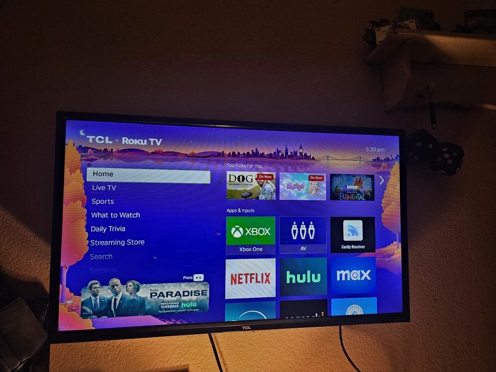 32in Roku TCL tv with wall mount