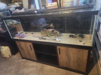 125 Gallon Fish Tank