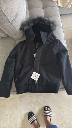 Jacket Hollister black