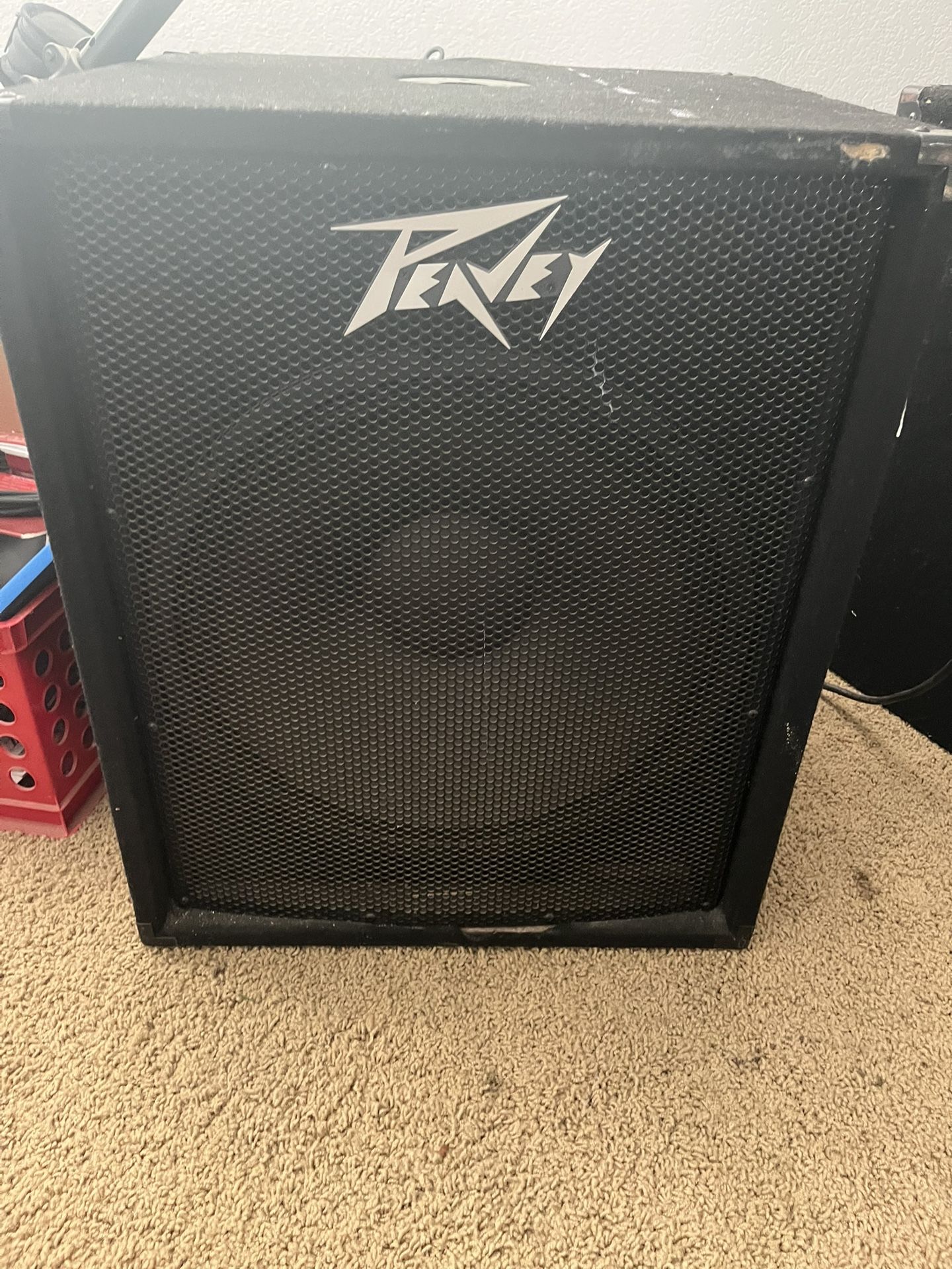 Peavy PV118 Speaker