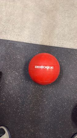 Rogue Echo Slam Ball 40lbs