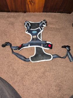 ThinkPet harness