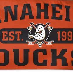 Anaheim Ducks Hockey Flag 5ftx3ft $20 Firm On Price