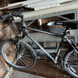 Roadmaster Bike