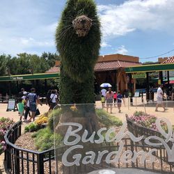 Parque Tematico De Busch Gardens 