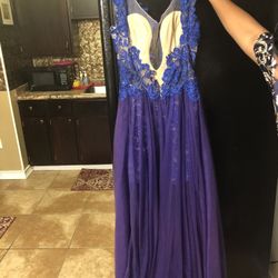 Prom or mardi gras dress