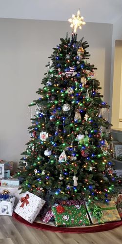 Balsam Tree Original $999