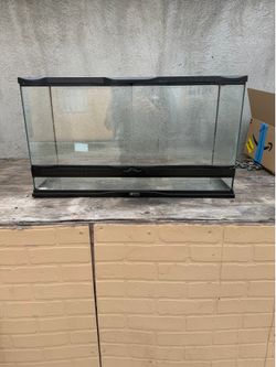Tank for reptile
