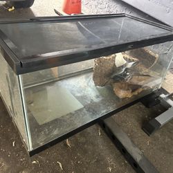 Reptile Tank