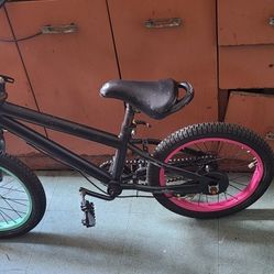 Freestyle Kid Bike