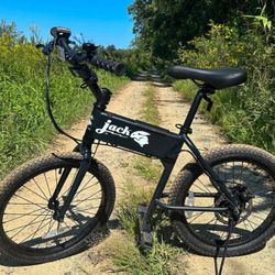 Jack Rabbit Compact E-bike