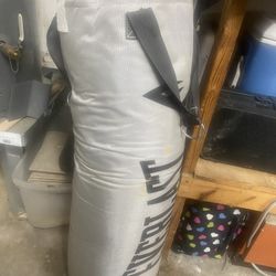 Punching bag Everlast