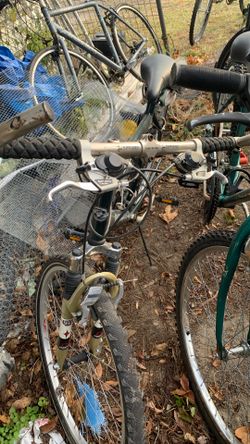 Scorpio Mountain Bike