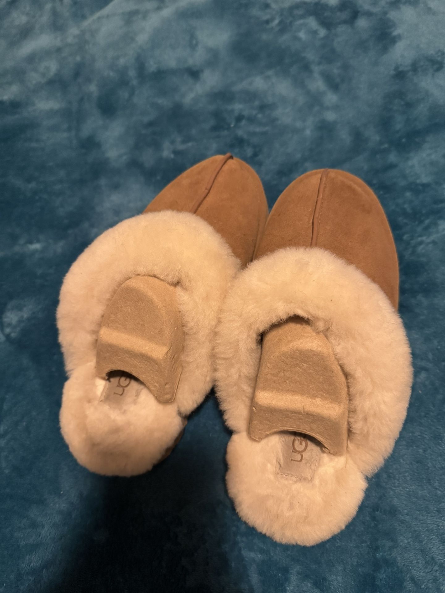 UGG Slippers ( Disquette )