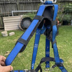 Harness With Double Retractable Yo-yo 