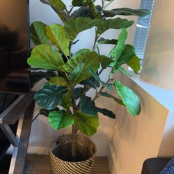 FOPAMTRI Artificial Fiddle Lead Fig