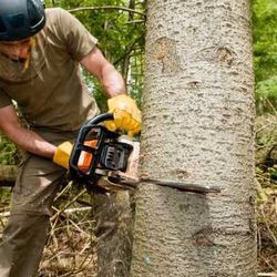 Trimming/Cutting Trees