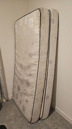 Twin Mattresses ($30)