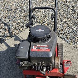 MTD Lawn Edger Briggs & Stratton