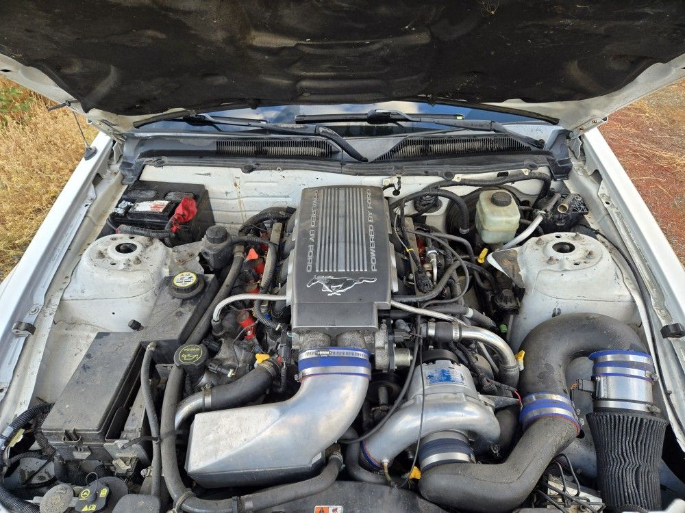 2005 Ford Mustang