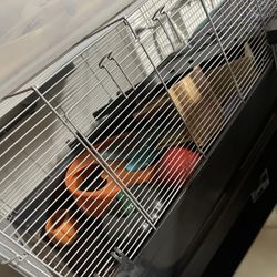 Small Animal Cage And Accessories 