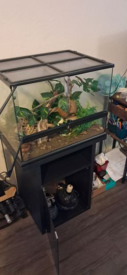 Reptile tank with stand