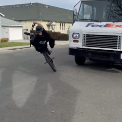 Upgraded Mafia Stb Trades Obo