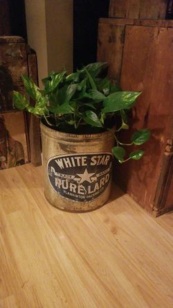 White star vintage tub..great for plants..