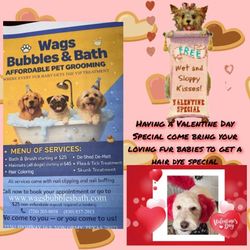 Call Or Text For Appt Bring Your Fur Babies For Valentine Special.