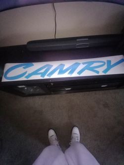 Windshield Or Back Window Decal