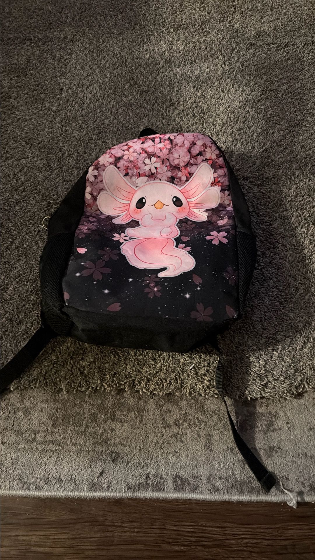 Backpack