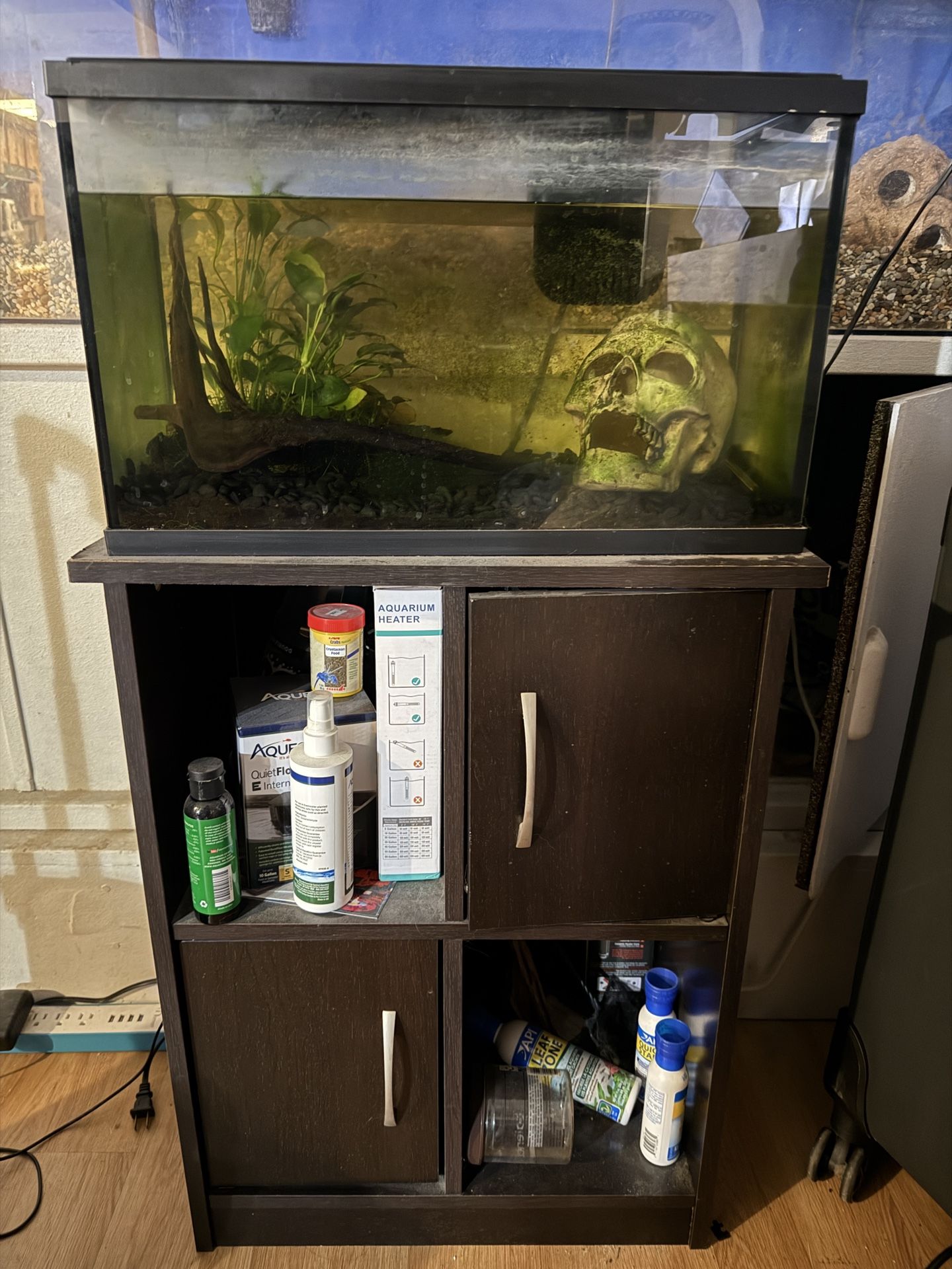 10 Gallon Tank With Stand