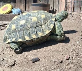 Concrete Tortoise Statue Outdoor Garden Decor
