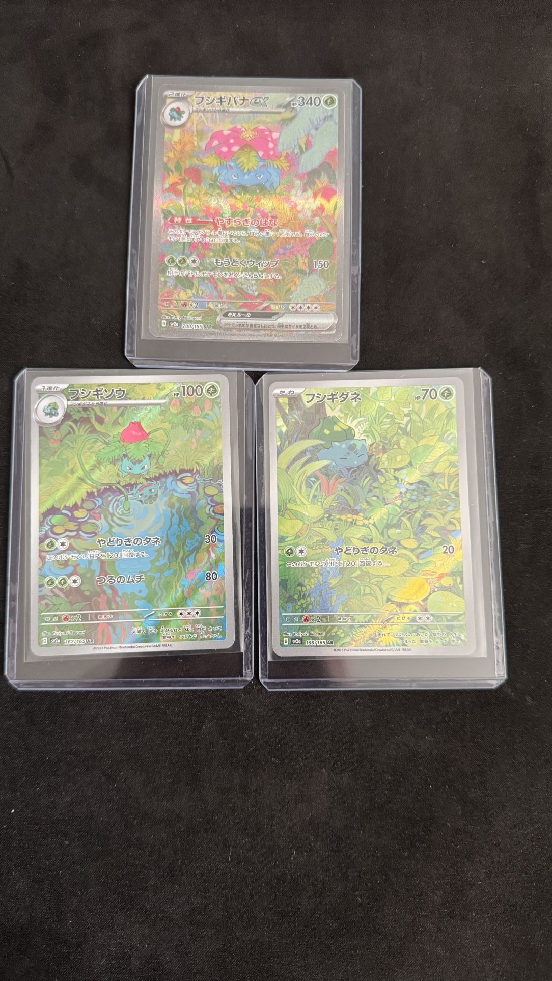 151 Pokemon Venasaur Jp