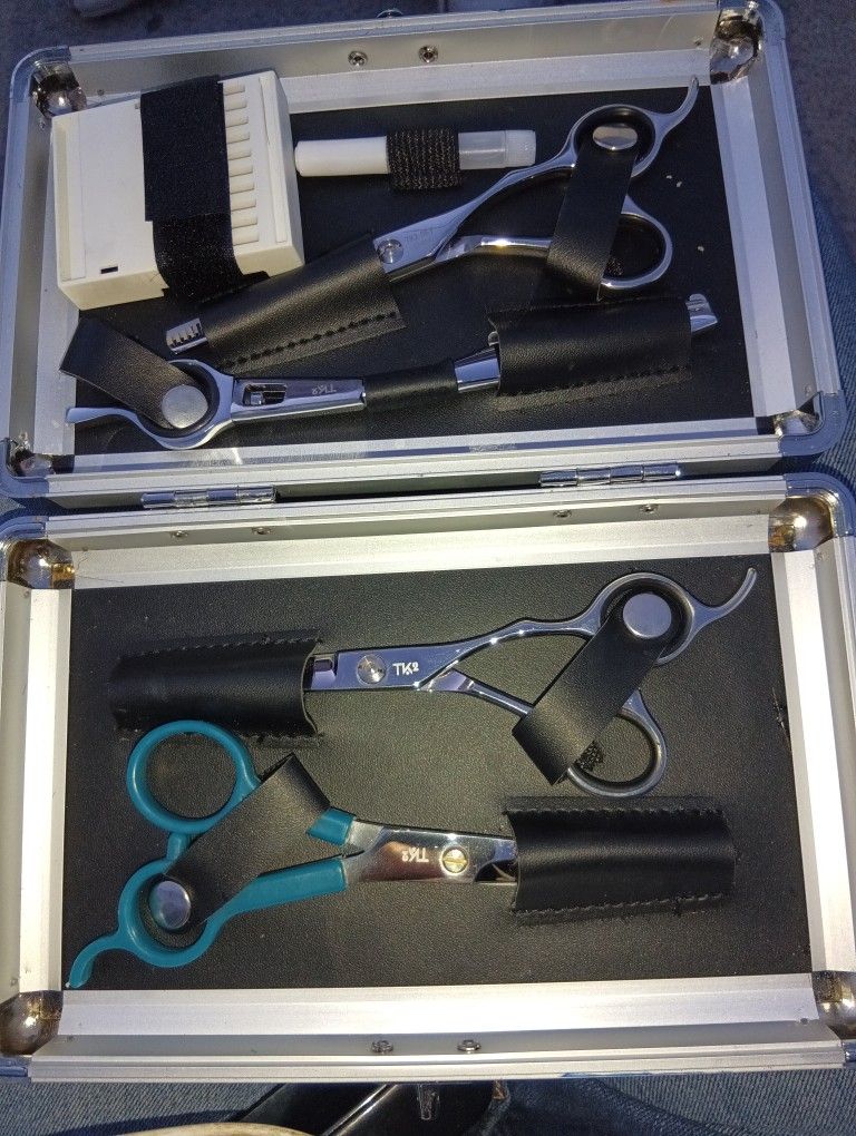 Professional Hair Cutting Shears