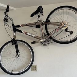 GT Adult Bike 