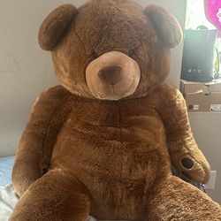 Giant Teddy Beat