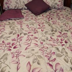 Like  New 3 Piece Comforter Set