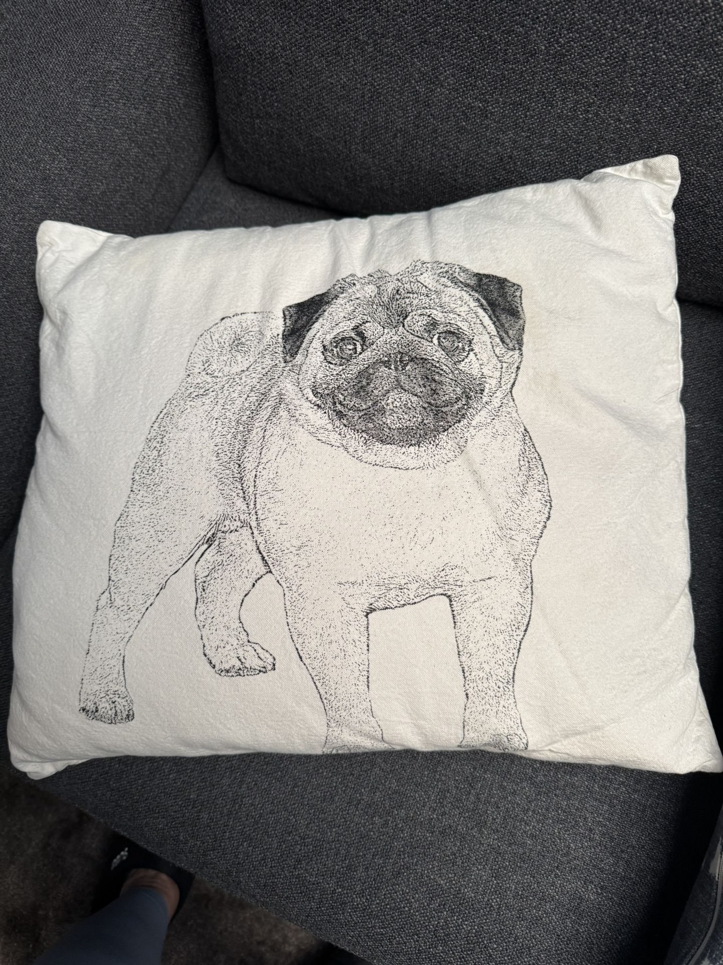 Pug Pillow