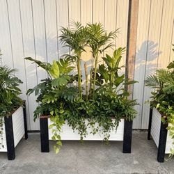 Planters