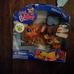 Littlest Pet Shop Armadillo 
