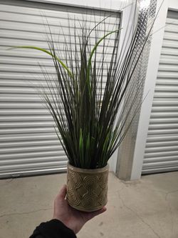 Faux Plant