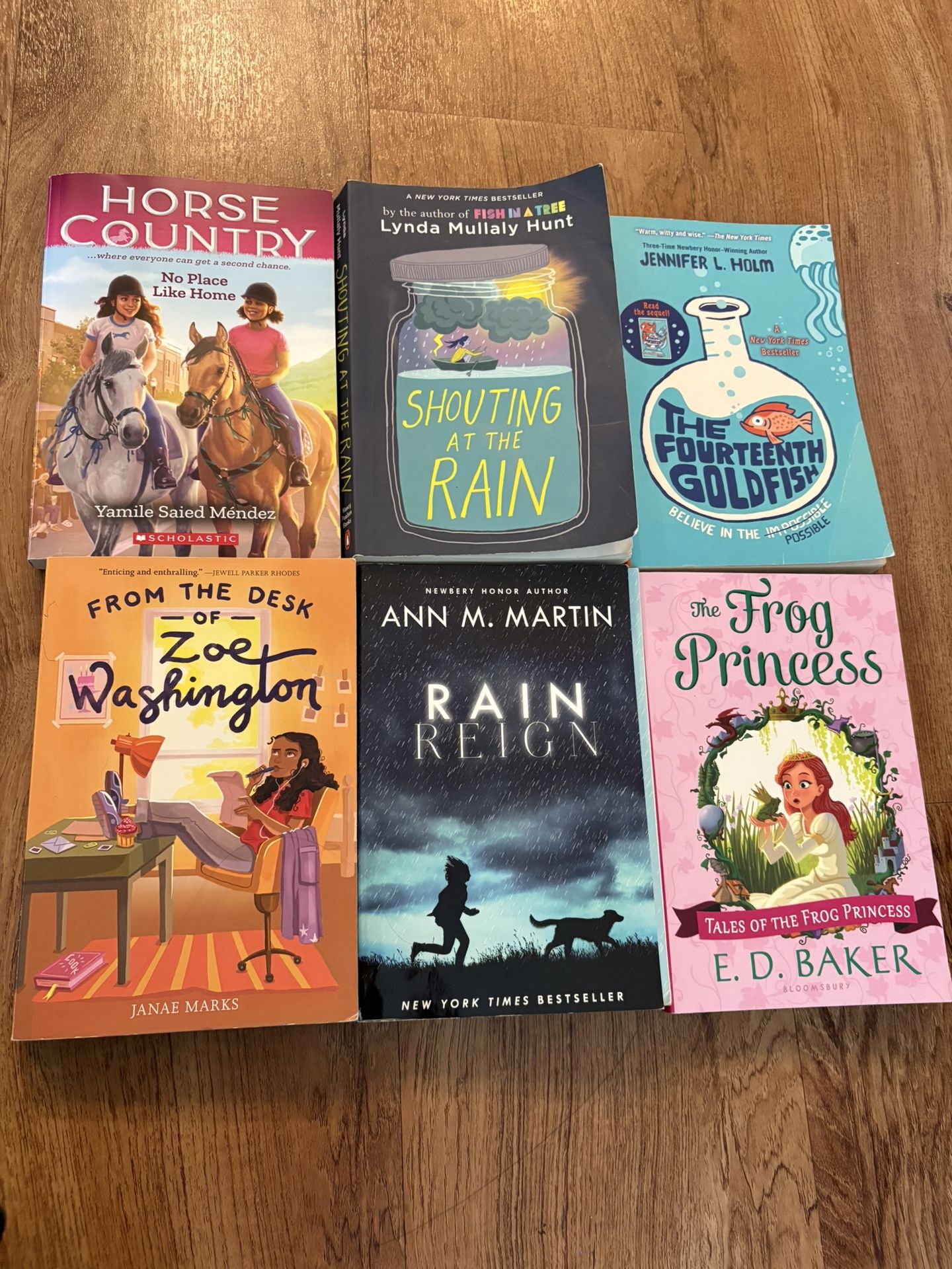 Adventure, Friendship & Heart – 6 Book Middle Grade Bundle