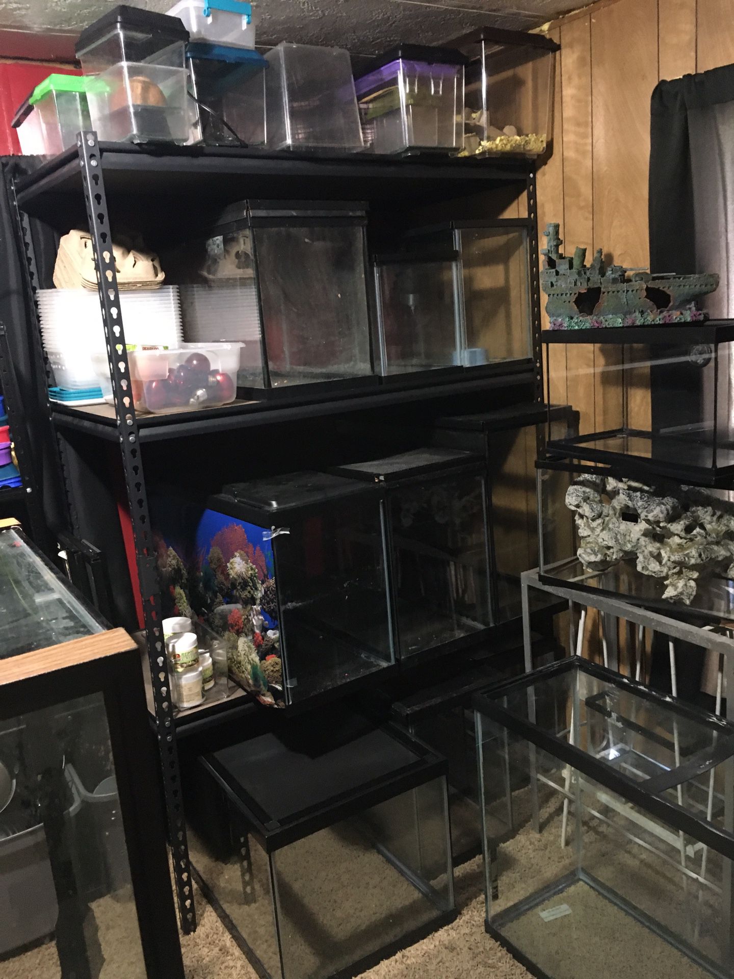 Fish and reptile tanks, stands and supplies