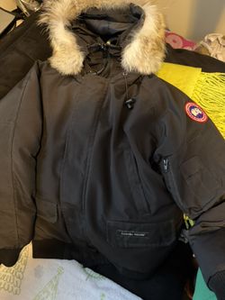 Canada Goose